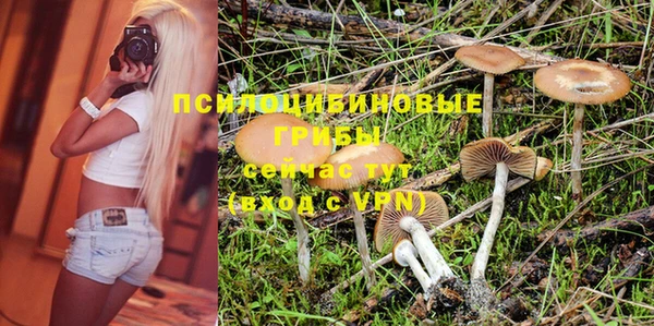 ПСИЛОЦИБИНОВЫЕ ГРИБЫ Киреевск