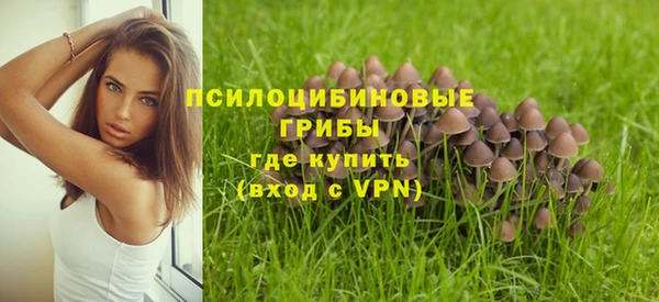 прущая мука Киренск