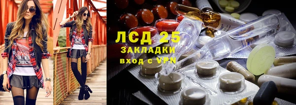 ПСИЛОЦИБИНОВЫЕ ГРИБЫ Киреевск