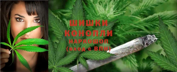 PSILOCYBIN Кинешма